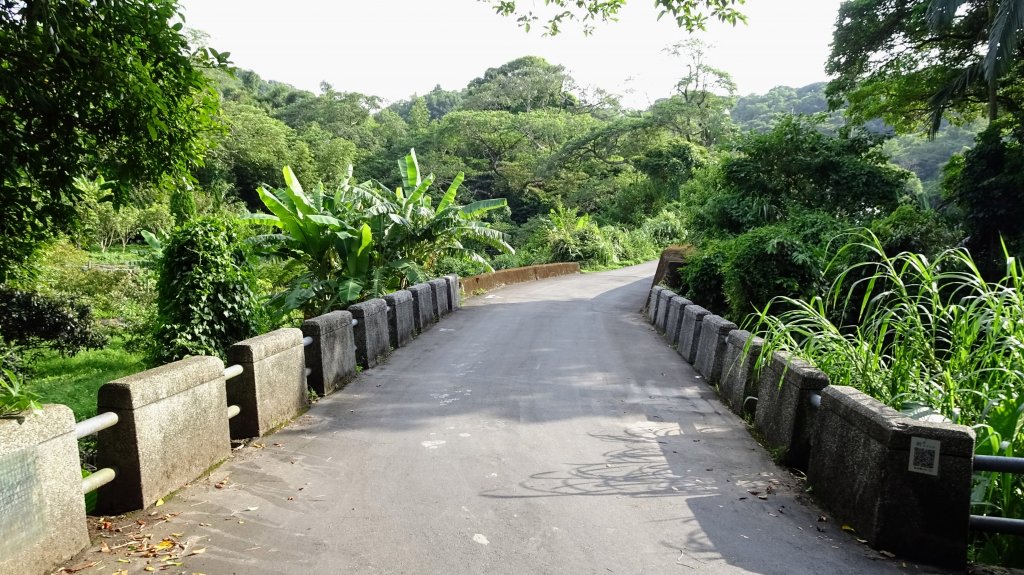 頂福巖森林步道(林口森林步道)_2283343