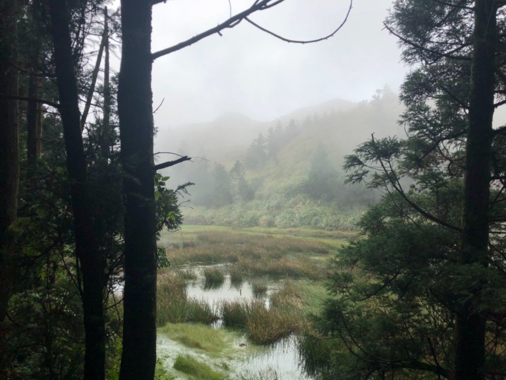 七星山主東峰20181115_461017
