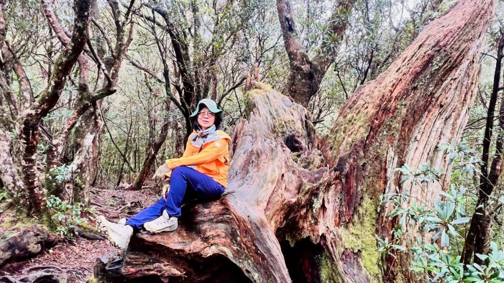 🌈4/13（日）（三）魔法森林-塔曼山~FB：熊熊趴爬走🌈_2761312