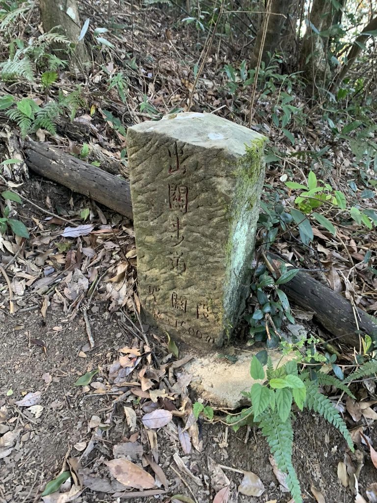 苗栗關刀山（小百岳）_2039911