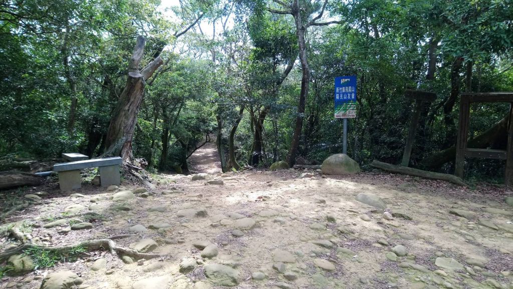 飛鳳山。中坑山_355242