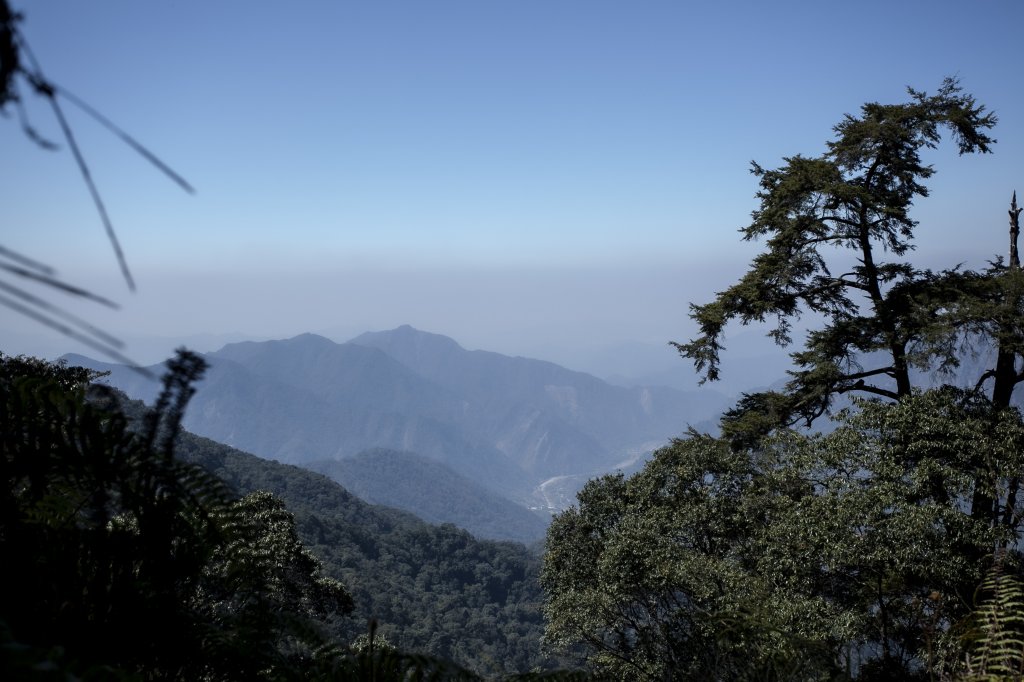 2023.03.10 八仙山_2072795