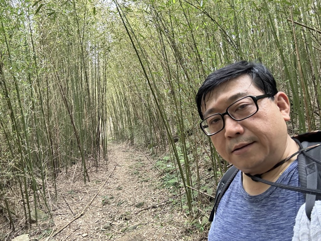 關仔嶺大凍山_2365381