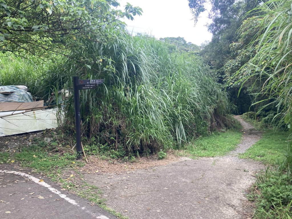 土庫岳_2527733