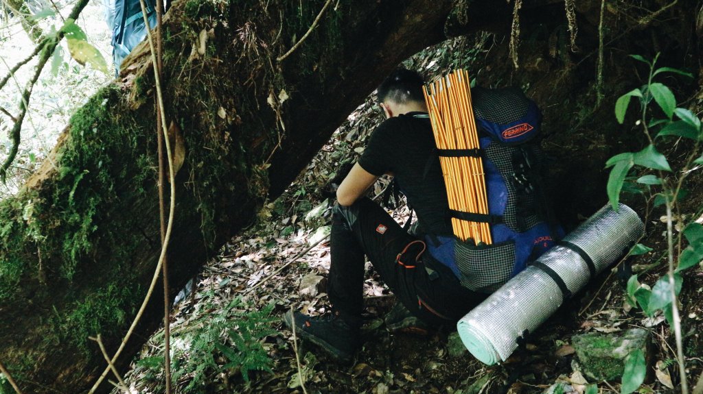 巒安堂上西巒大山｜雙龍上人倫下、人文歷史的遺跡_1388397