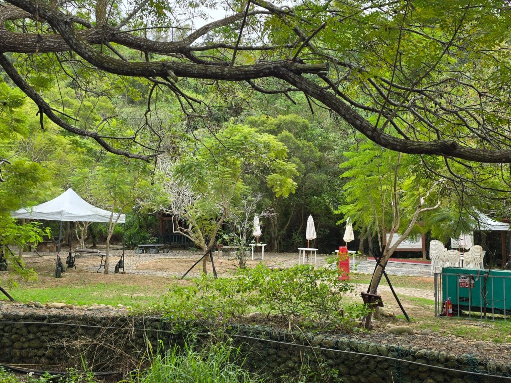 龍井-竹坑-南寮登山古道_2651088