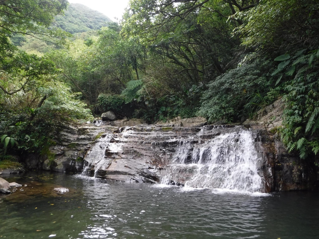 繽紛夏滋味-東北角一日雙棲戲水樂_52968