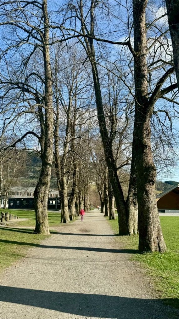 挪威🇳🇴Voss峽谷秘境_2810367