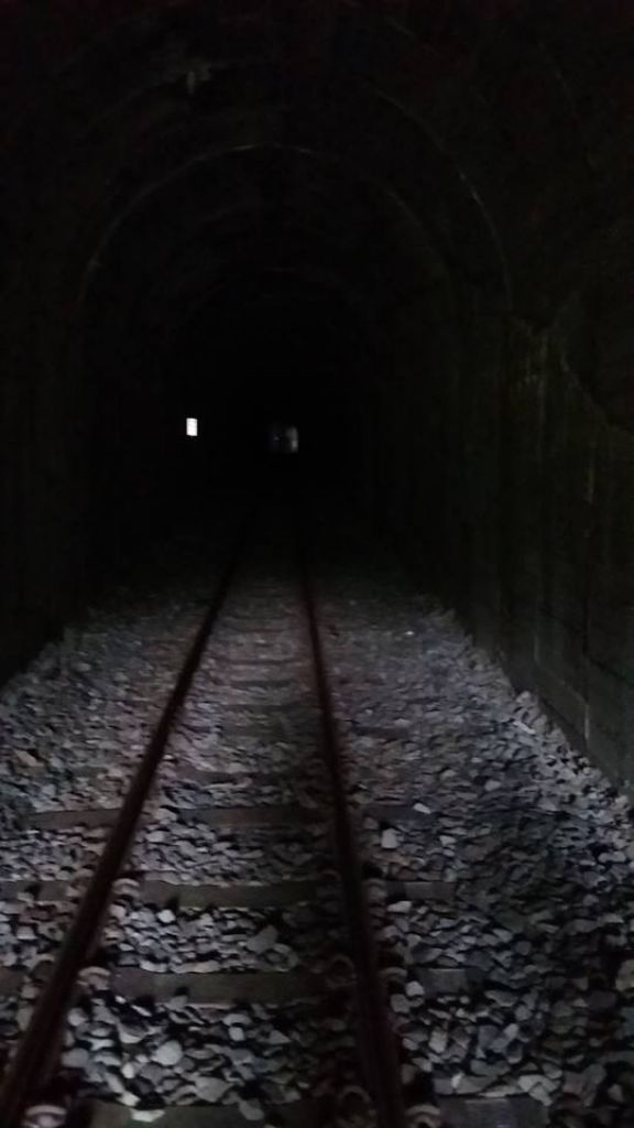 (尚未整理)【嘉義】塘湖古道阿里山鐵路_305147