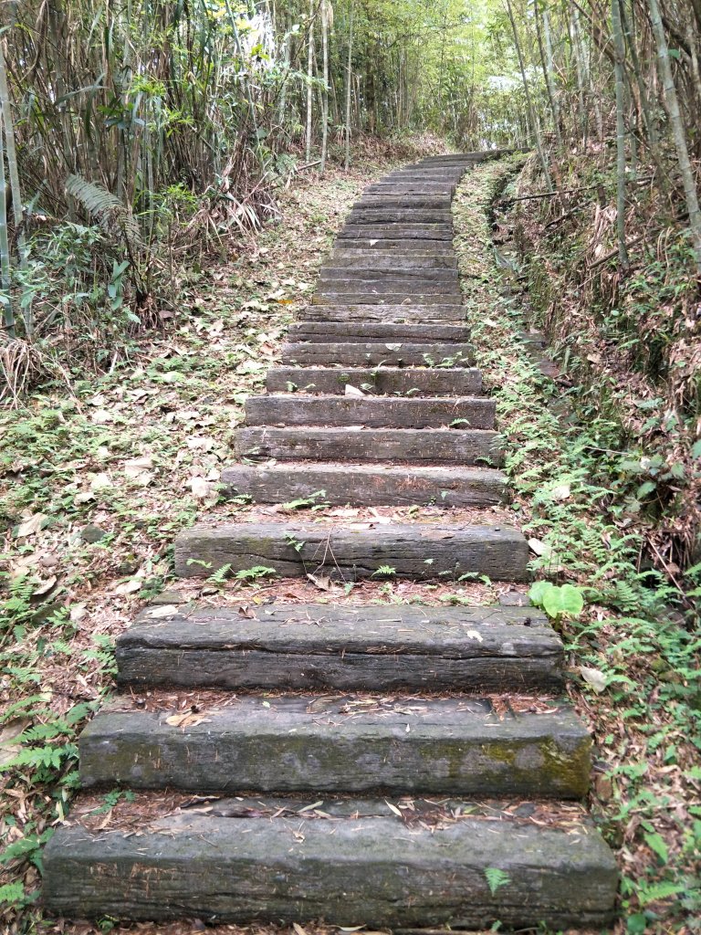 大巃頂步道(紅南坑森林古道)20210505_1419633