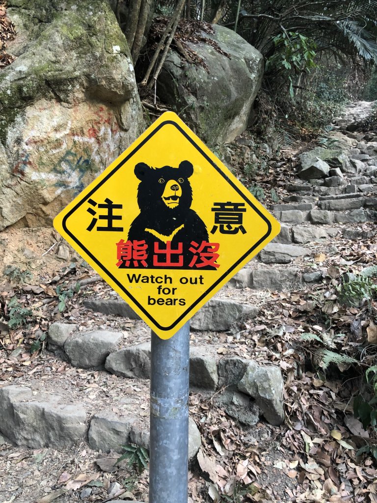 東卯山230322_2465325