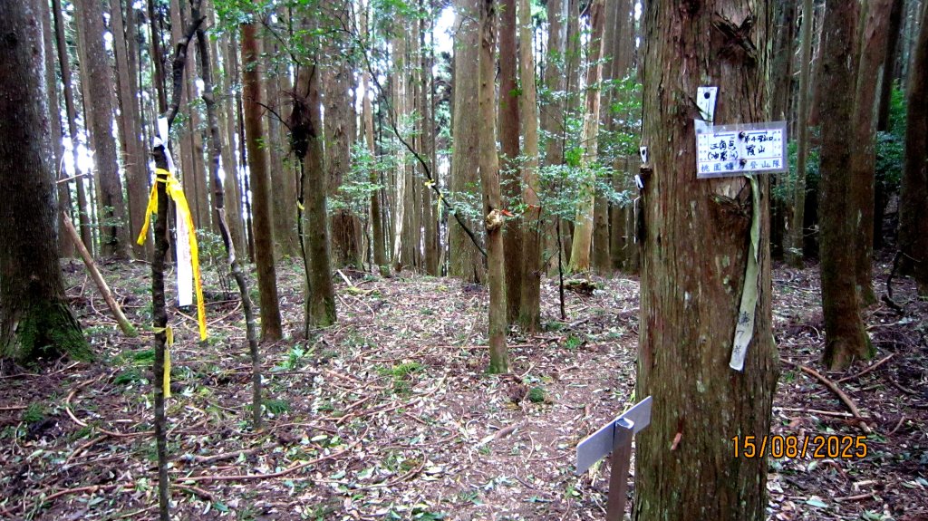 【油羅山/露營】 仙境舒活健走，雲端徜徉野趣！_2888010