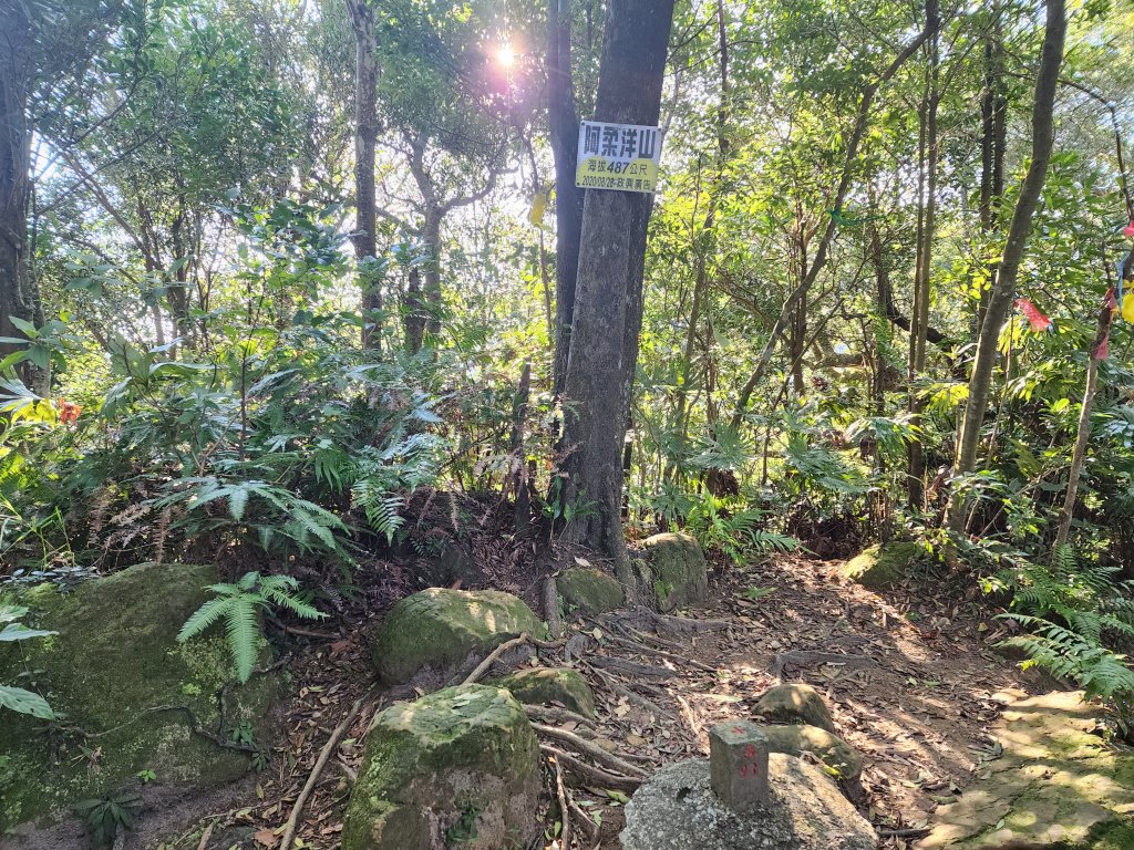 20240114指南宮站經猴山岳二格山鵝角格山至貓空站_2430791