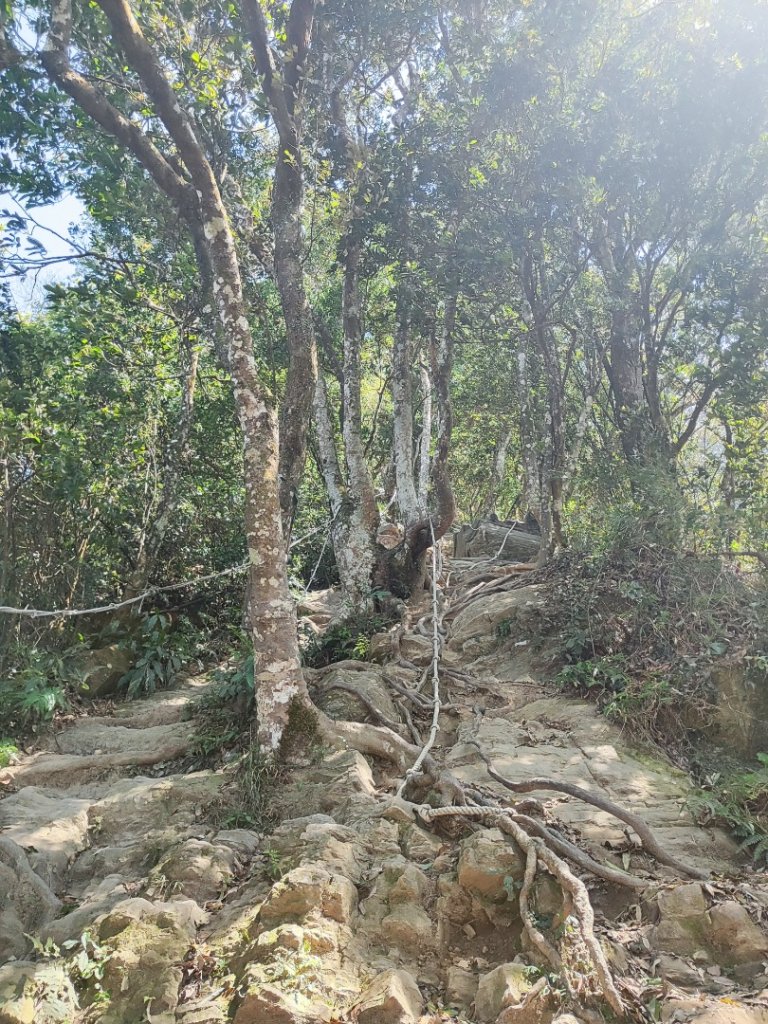關刀山+仙山_2747362