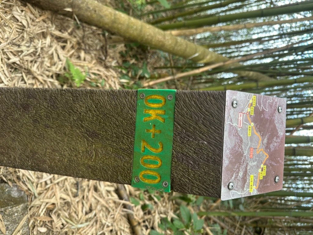 嘉雲二尖山、大尖山_2734875