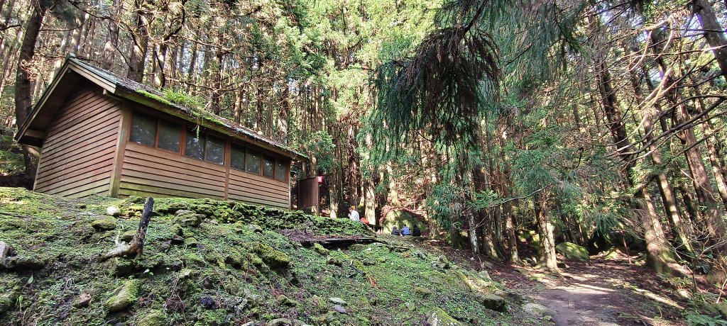 2025/04/04_加里山登山步道_2755027