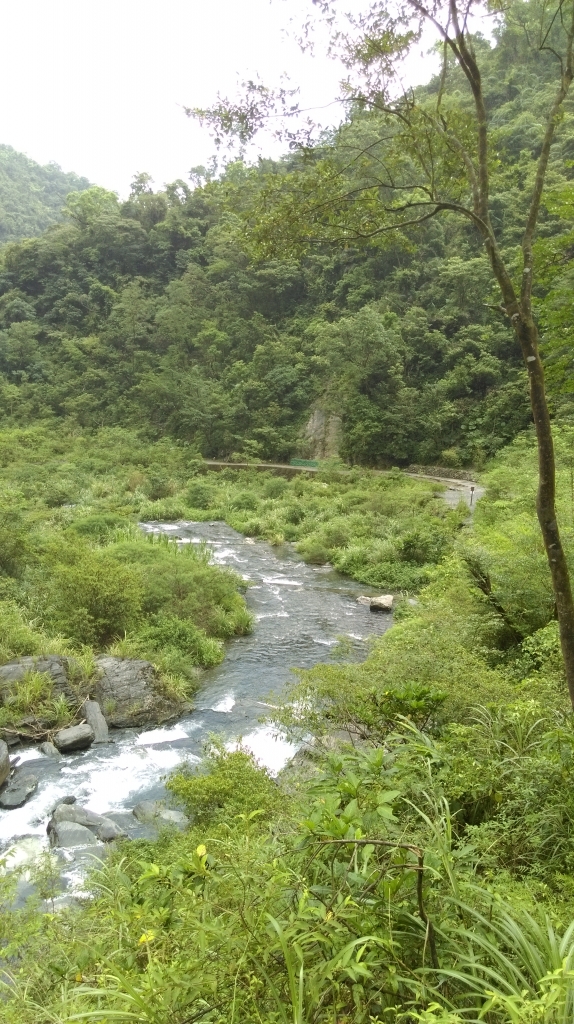 宜蘭冬山鄉-新寮瀑布歩道105.7.11_55827