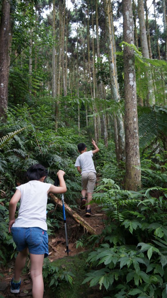 向天湖山之趣_399969