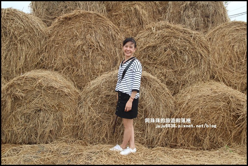 2019桃園農業博覽會_693325