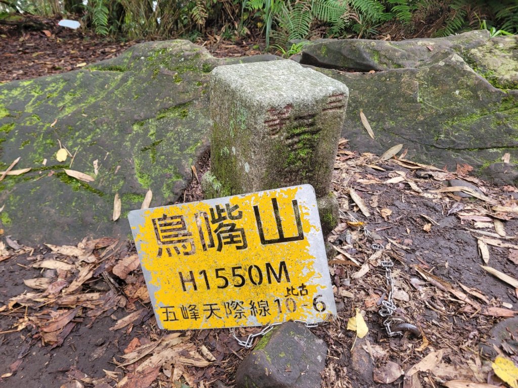 20230702 鵝比鳥大(鵝公髻山、鳥嘴山、大窩山、比林山)_2210404