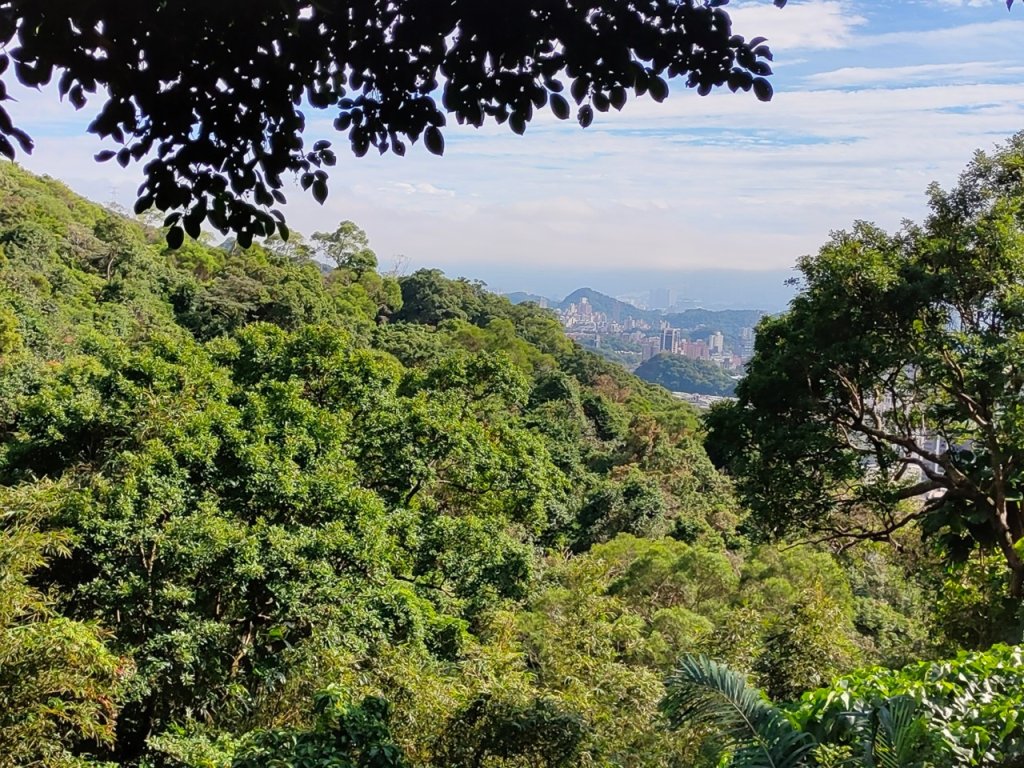 ［劍劍縱走8連峰］（鄭成功廟山+東劍南山+劍南山+文間山+貓九山+文間西峰+文間西南峰+劍潭山）_2397166