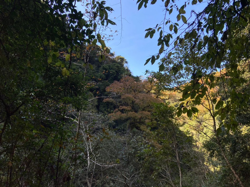 霞喀羅古道_1964619