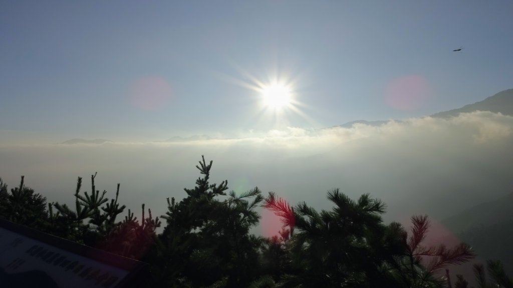 觀霧森林雲霧步道_2290329