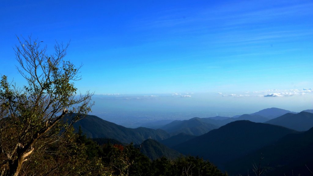 深秋限定~沒到過銅山別說看過山毛櫸_447184