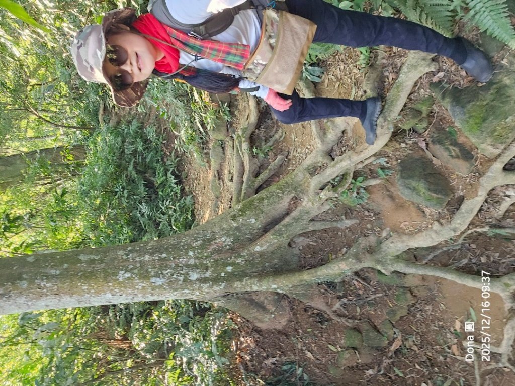 20251216太平山石門山小粗坑山O型+蕃薯藤TINA廚房_2972552