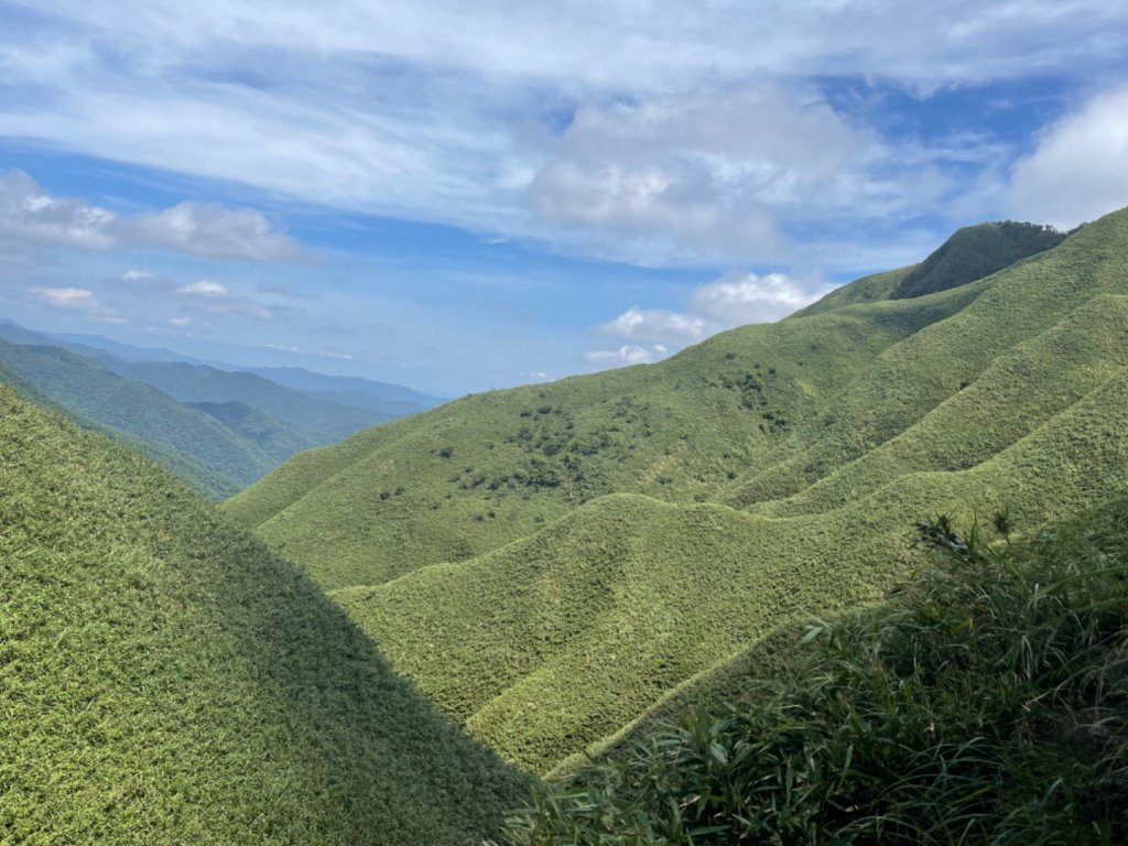 抹茶山 2023-06-21封面圖