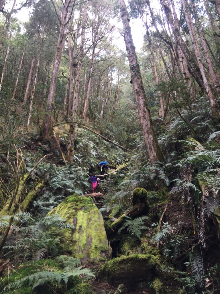 散落的珍珠-加羅湖_565257