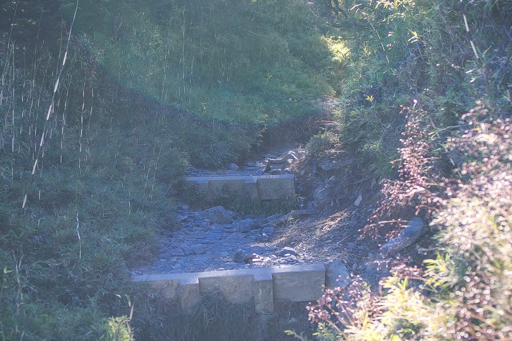 20220724-25-[苗栗] 九九山莊睡兩晚_2439898