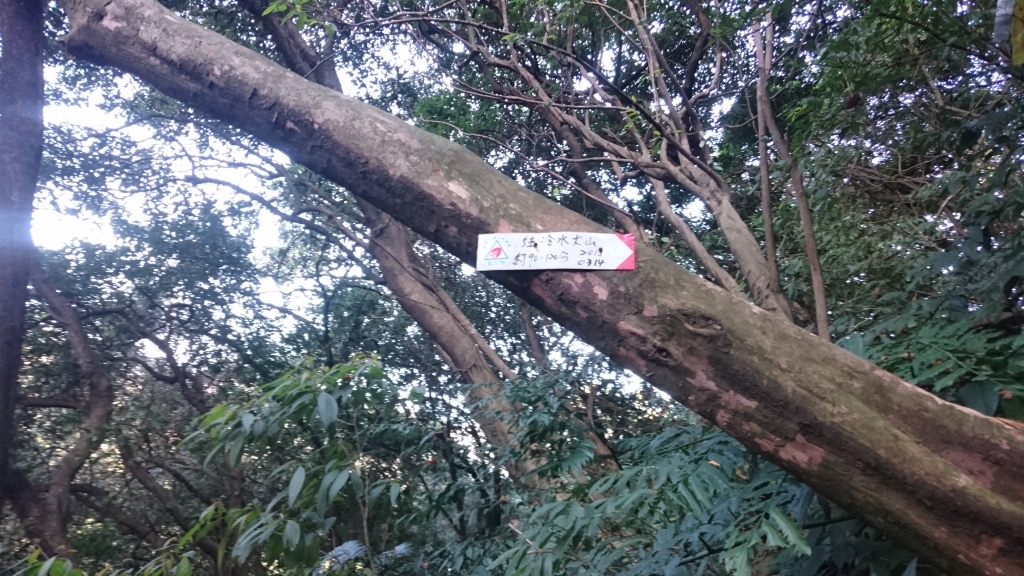 上磺溪停車場-冷水大山-大尖後山-頂中股山-八煙步道-水圳路O形_82057