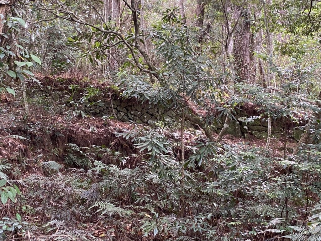 芝生毛台山、虎禮山連走_1368971