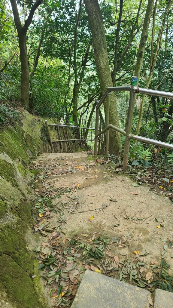 2024-0107台北大縱走第六段_2437650