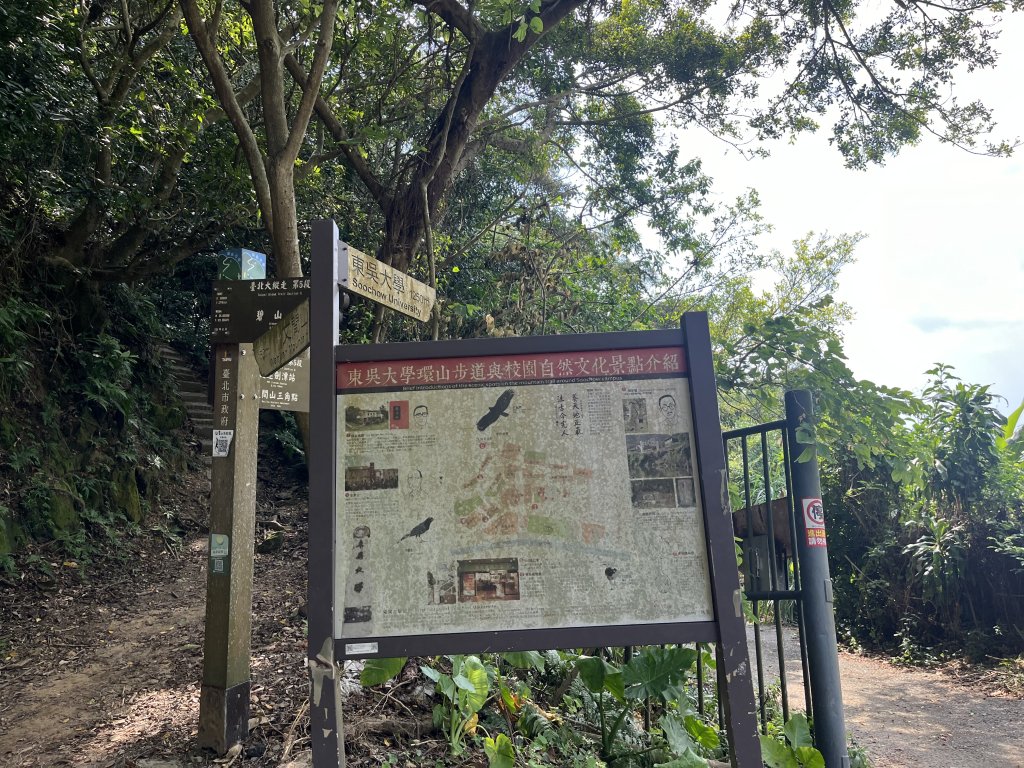 2024_0804 文間山_2566388