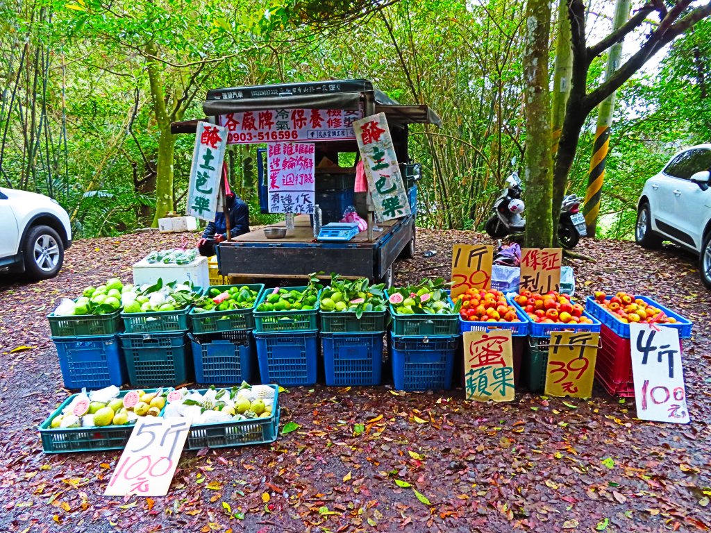好療癒及老少咸宜的步道：百吉林蔭步道_551052