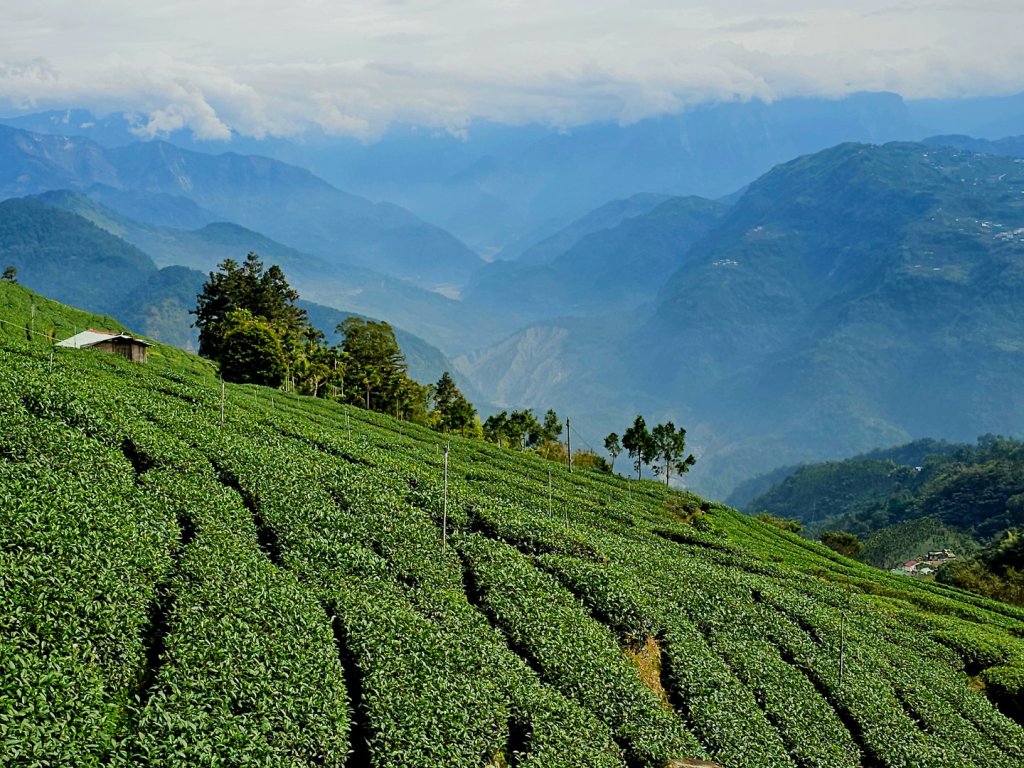 雲嘉大尖山、二尖山步道--(雲林)臺灣百大必訪步道封面圖
