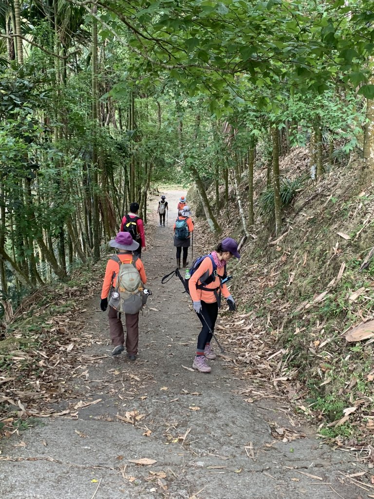 20240330台南雞九凍-雞胸山縱走_2470054