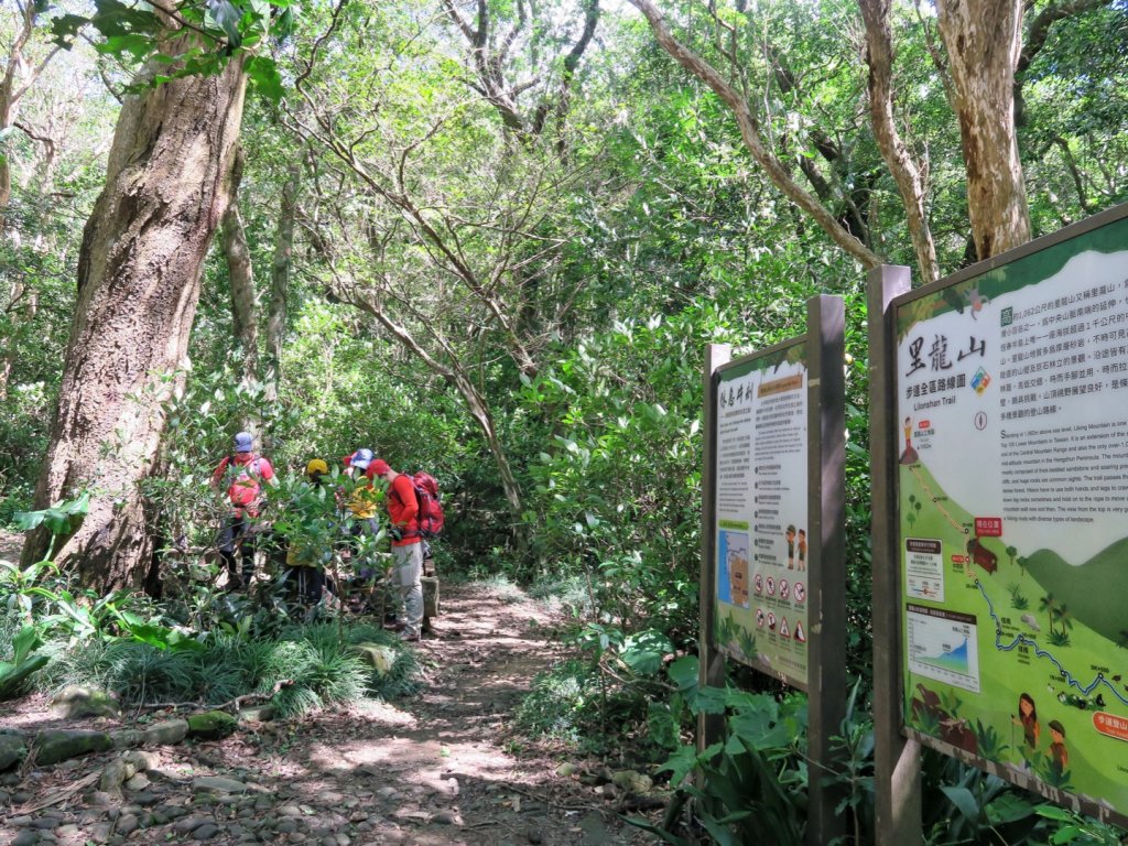 里龍山 悠遊山徑-溪谷-欣賞海天一色美景_1486142