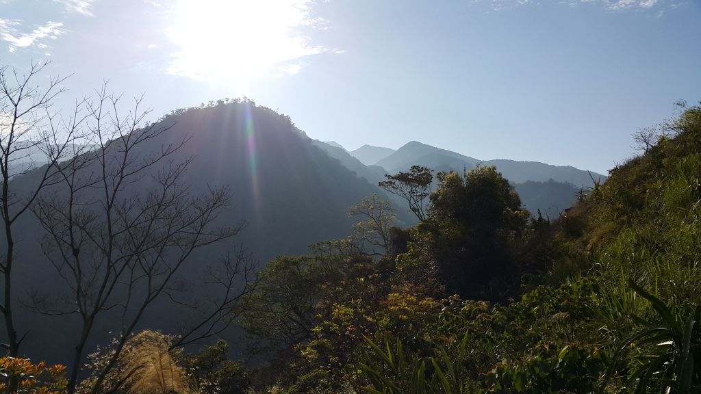 阿冷山步道 - 谷關七雄老八 2017 04 03_126387