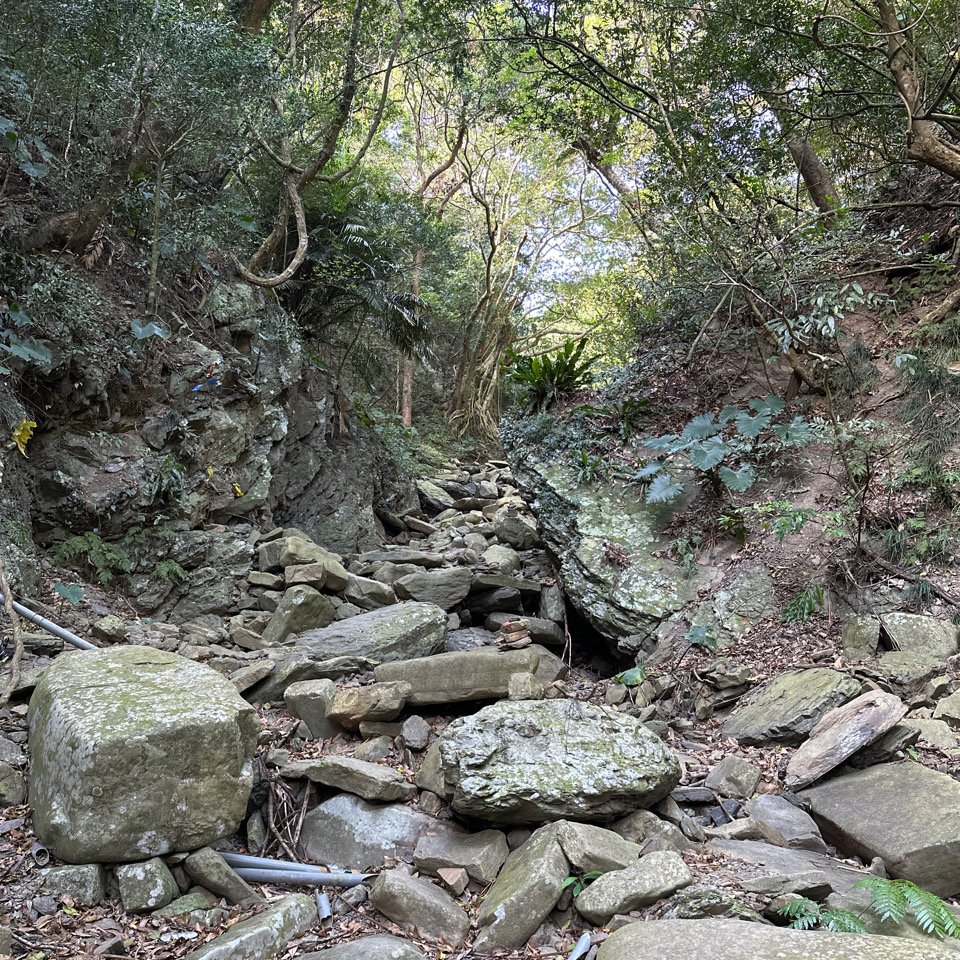 山岳足跡79封面圖