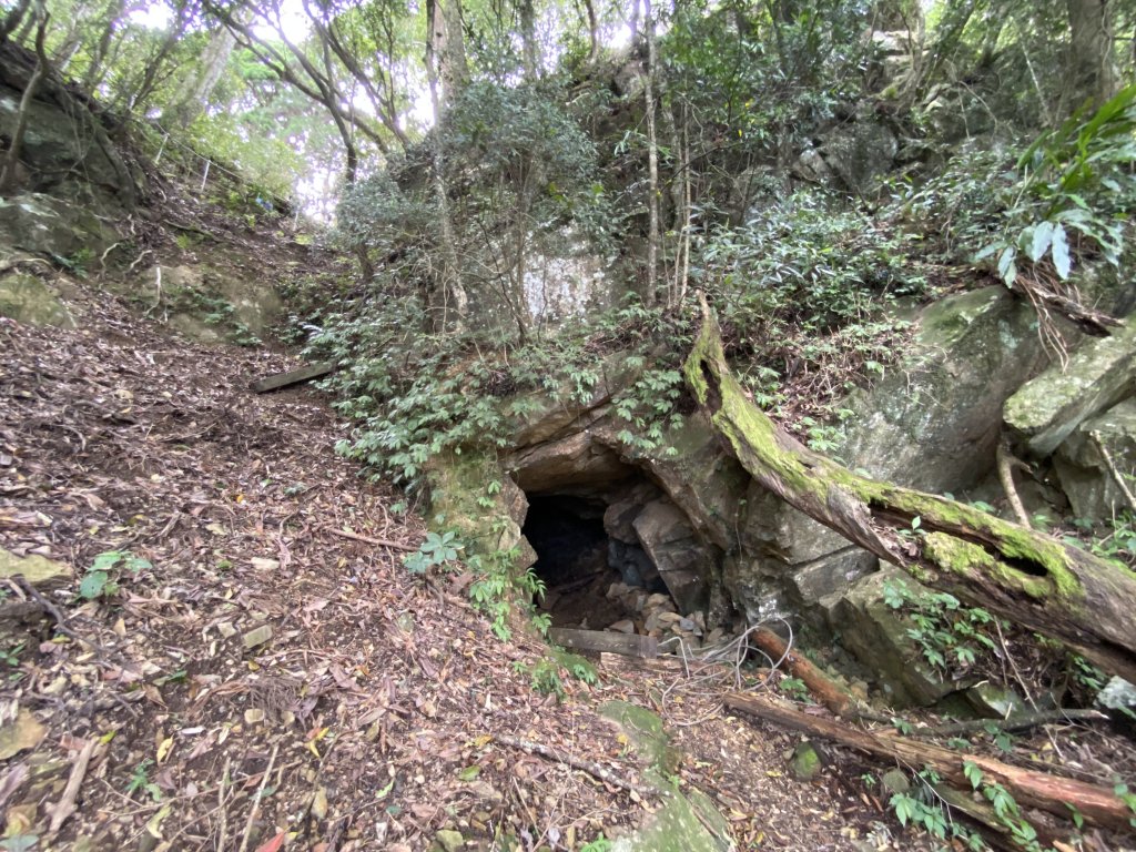 20220618_大坪登山口上加里山_1749714