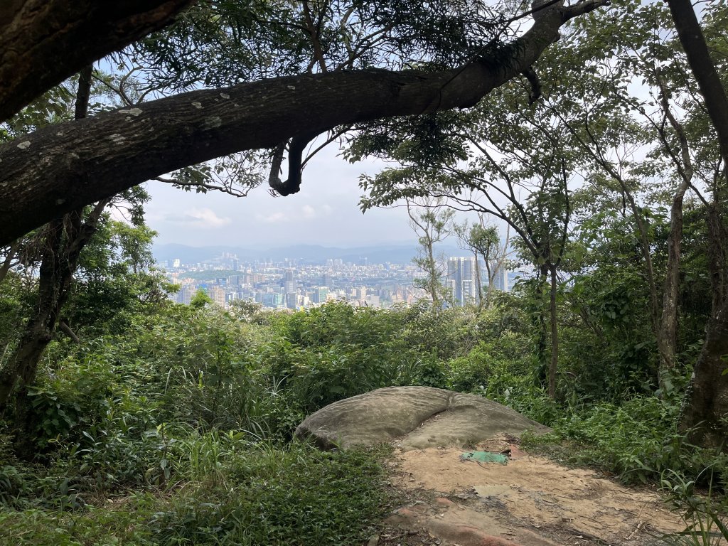 2024_0804 文間山_2566398