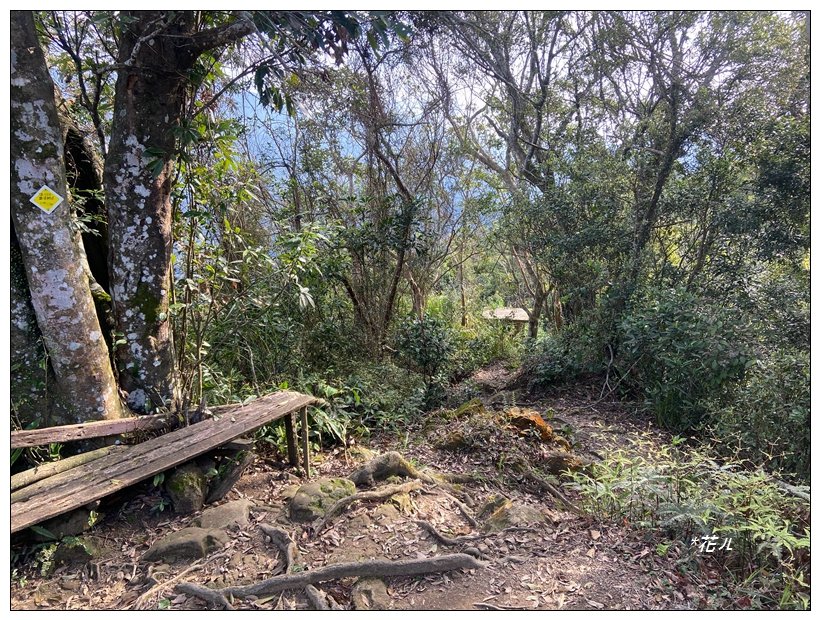 頭寮山、內湳溝山、牛角湳西南峰O型連走_2738957