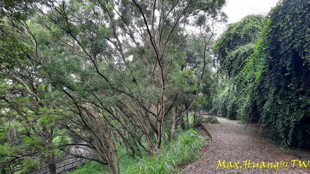 《台中》雙園連走｜東大公園連走都會公園20231007_2305927
