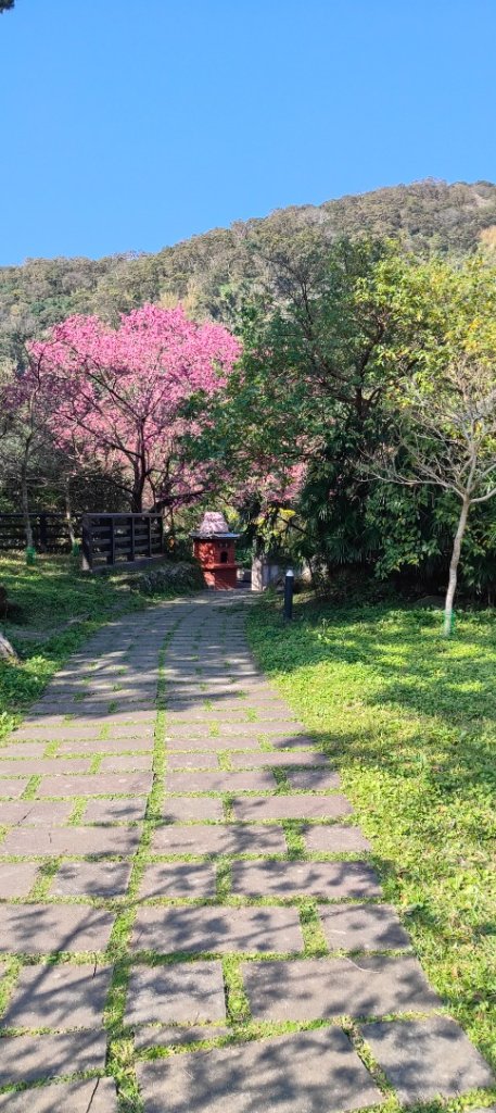 林梢步道_2700676