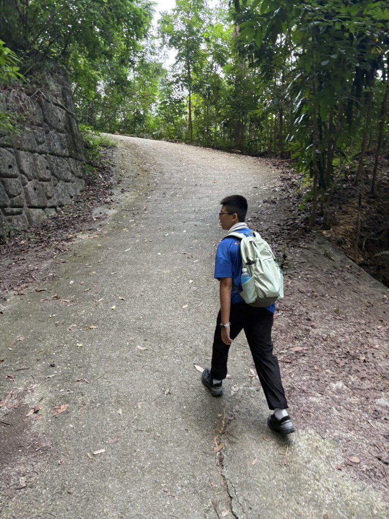 20251109棚集山步道_2935230