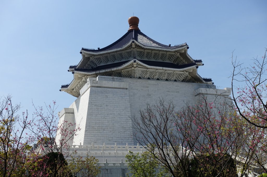 中正紀念堂賞櫻_1277185