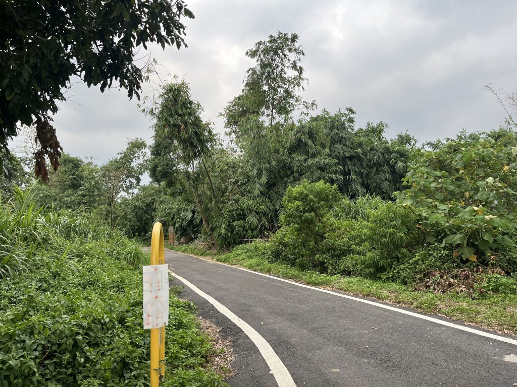 [百山百鳥尋旅-04/15] 2025_0817 龍過脈森林步道_2863416